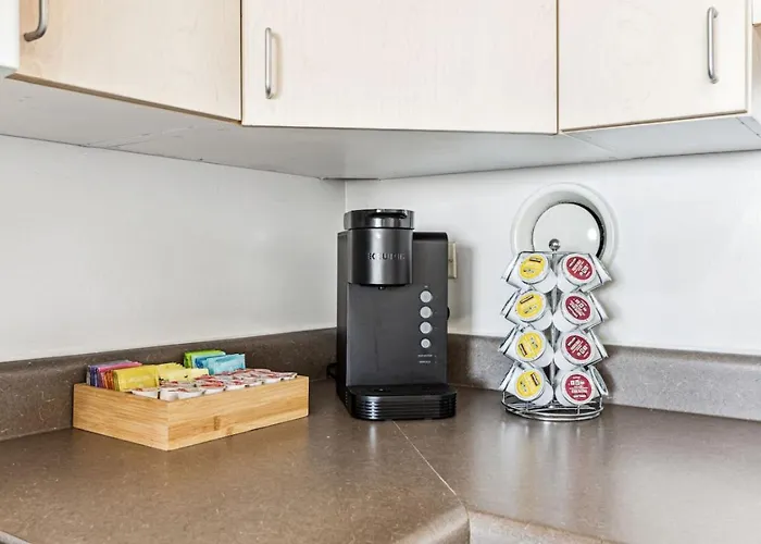 Mich Ave Downtown, Park, Museums 2bd-2ba #4 * Chicago