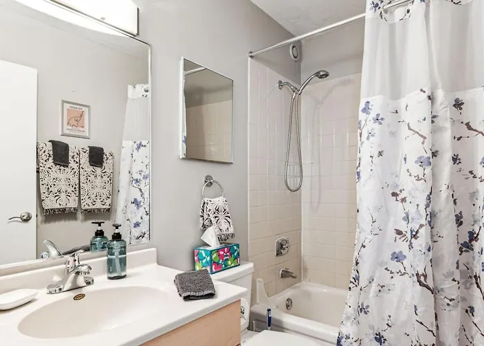 Mich Ave Downtown, Park, Museums 2bd-2ba #4 Chicago